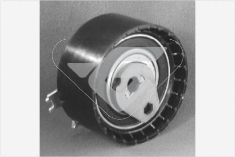 EKSANTRİK GERGİ RULMANI MEGANE I-II-III CLIO II-III KANGOO LAGUNA DACIA DUSTER 10 SANDERO 08 LOGAN 04 K4M-K4J